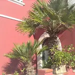 A Mare رودي غارغانيكو
