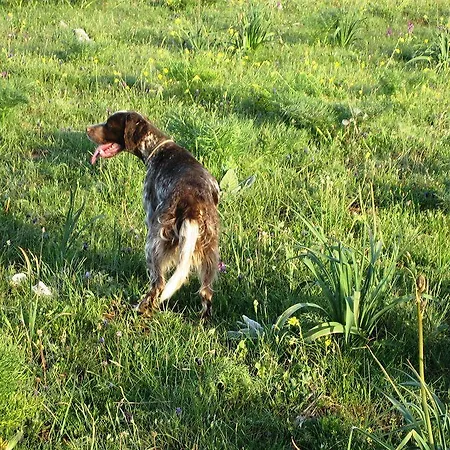 Ξενοδοχείο A Mare