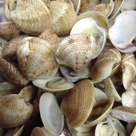 Ξενοδοχείο A Mare 3*