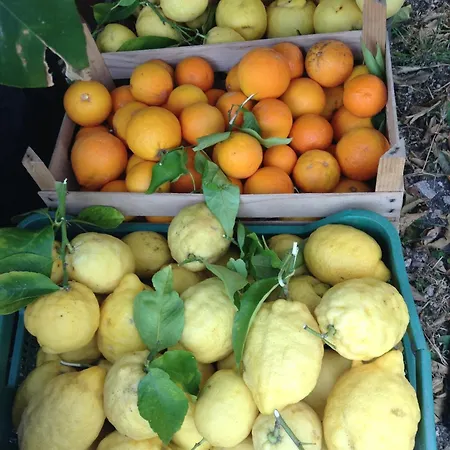 A Mare Ξενοδοχείο Rodi Garganico