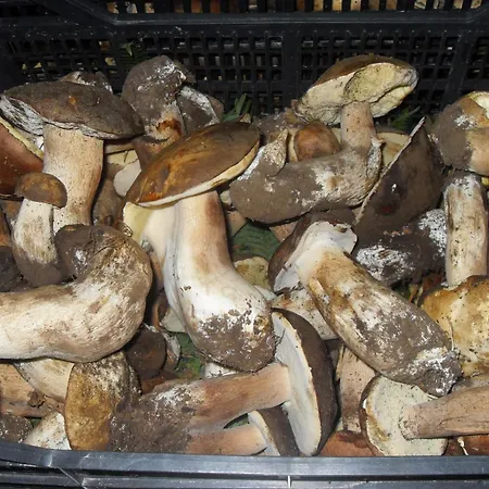 A Mare Rodi Garganico