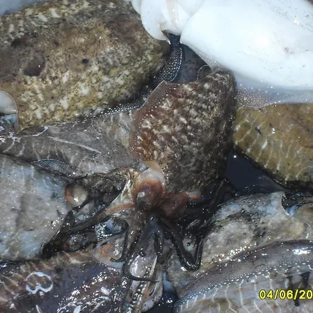 Ξενοδοχείο A Mare