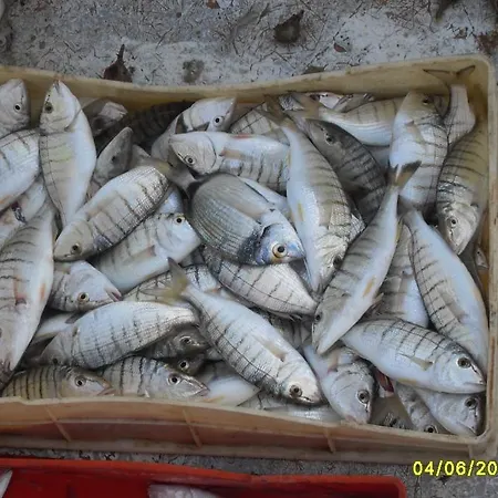 A Mare Ξενοδοχείο Rodi Garganico