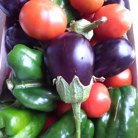 A Mare 3* Rodi Garganico