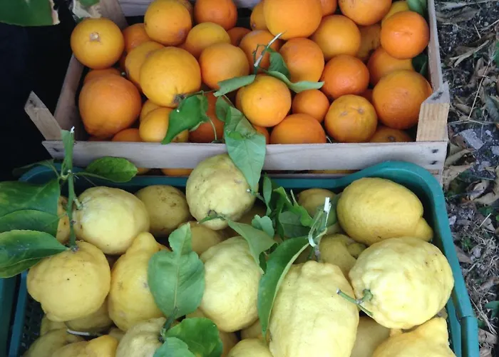 A Mare 酒店 罗迪-加尔加尼科